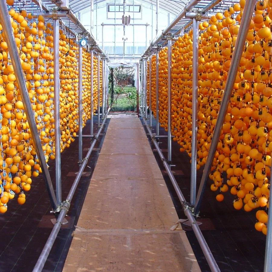 Premium Hoshigaki Dried Persimmon Sticks Natural Healthy Snack 25g - Image 4