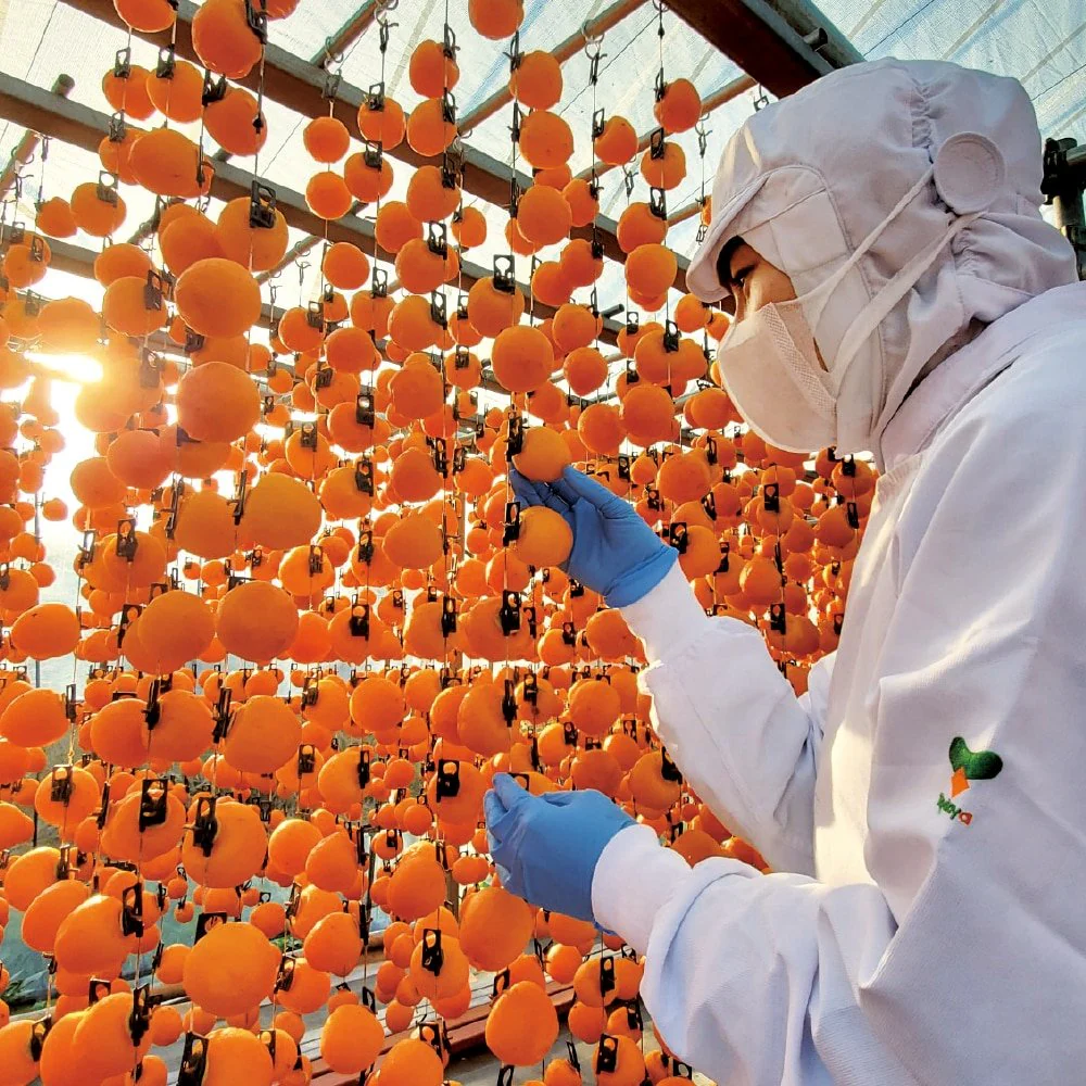 Premium Hoshigaki Dried Persimmon Sticks Natural Healthy Snack 25g - Image 5